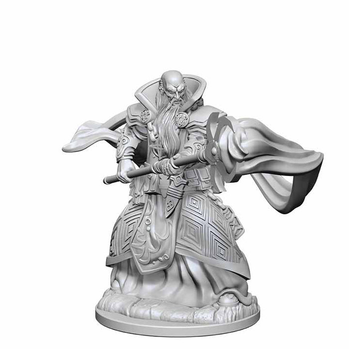 D&D Nolzur's Marvelous Unpainted Miniatures (W1) Human Male Wizard