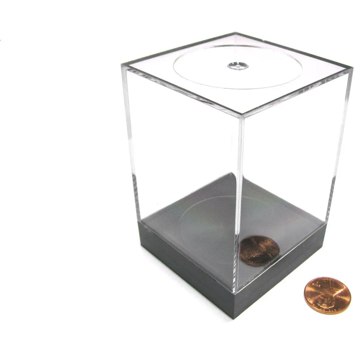 Plastic Figure Display Box Large by Chessex Dice